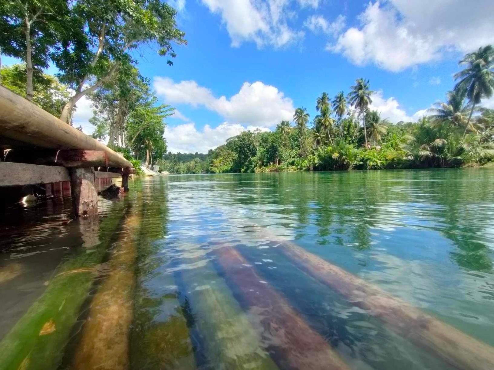 Gbu Loboc River Guesthouse エクステリア 写真